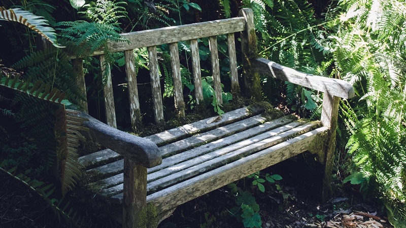 Worn out wooden garden bench image