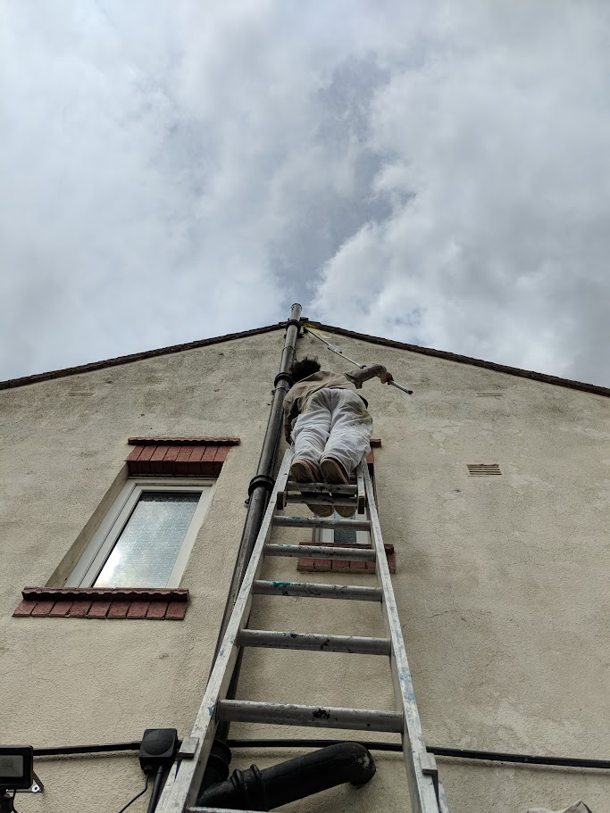 Exterior House Painting