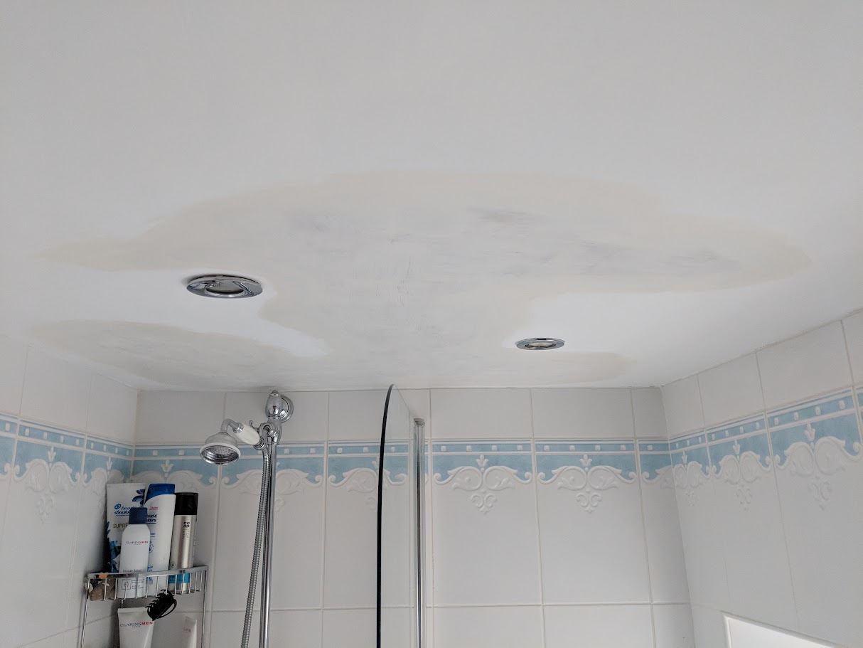 Bathroom ceiling